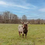 Du Cerisier