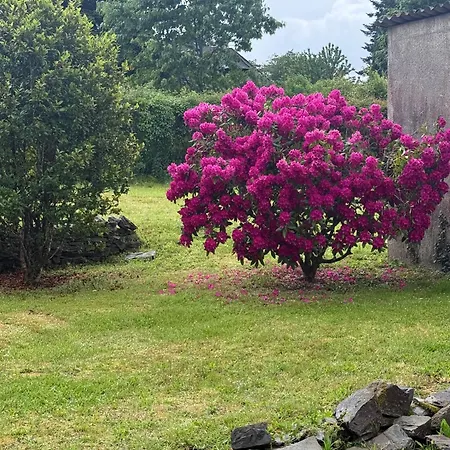 Du Cerisier Lanouaille
